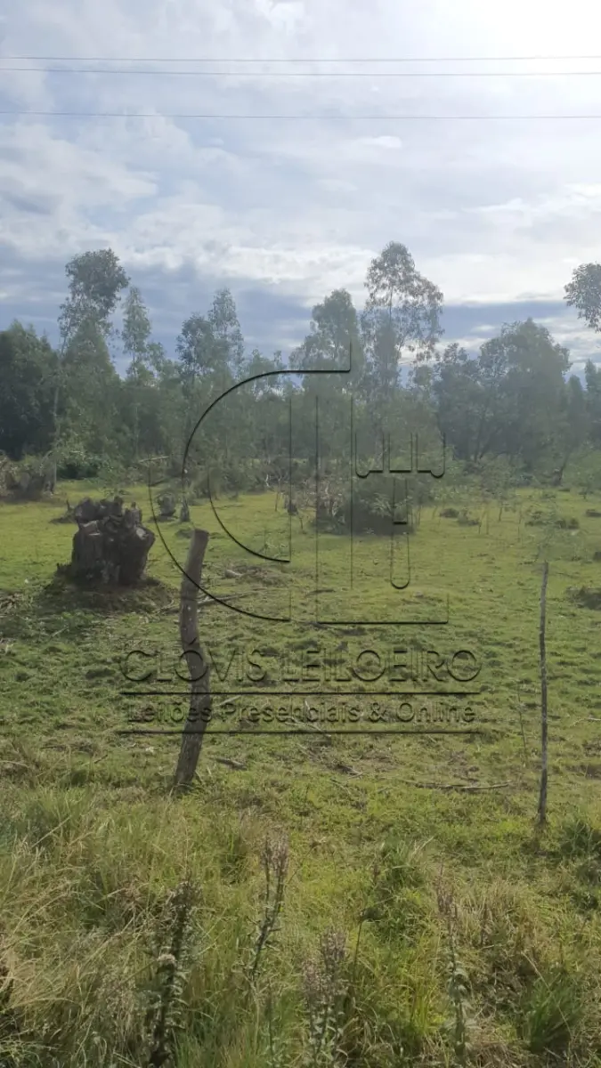 LOTE 001