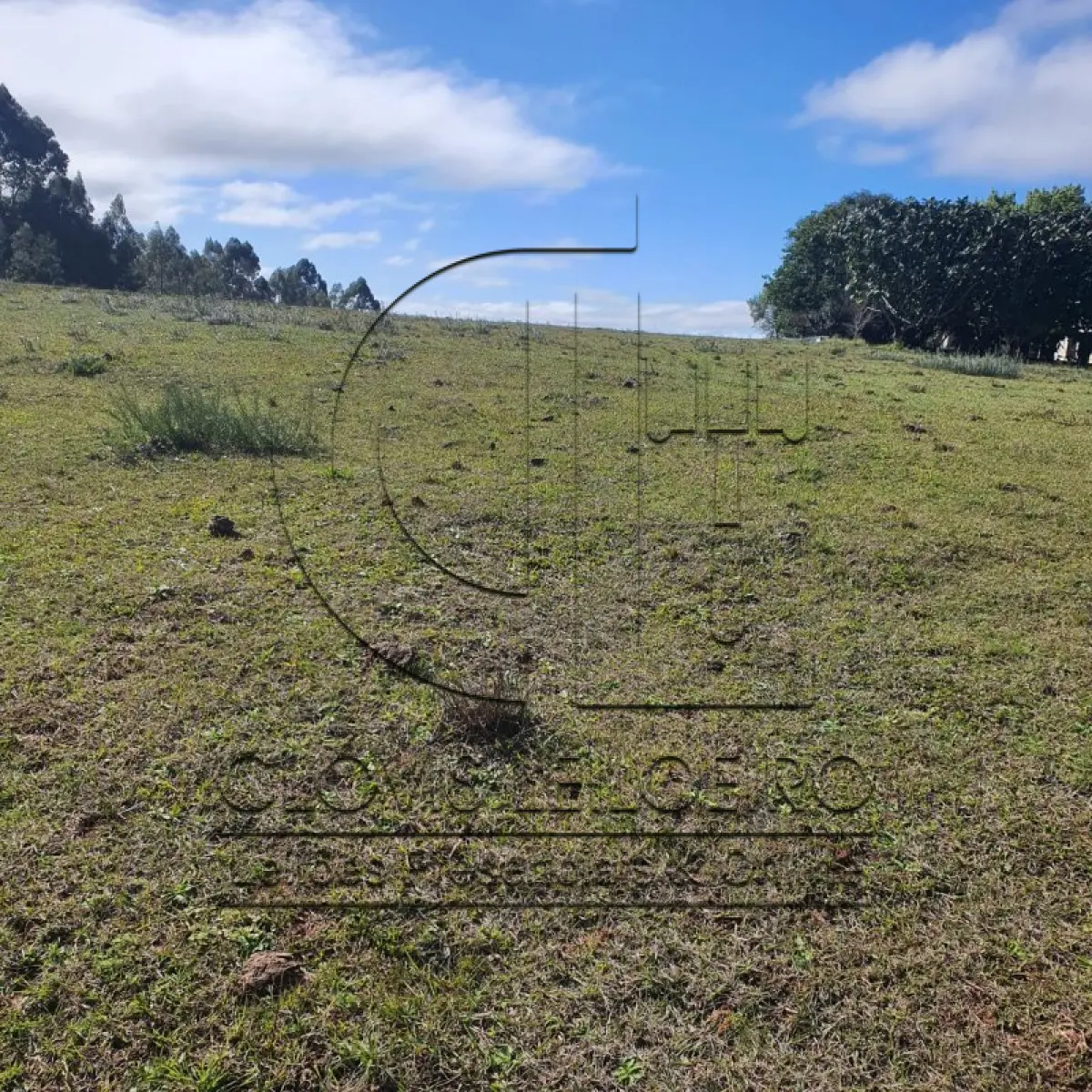 LOTE 001 - CHACARA COM 2 HECTARES INTERIOR SANTA MARIA-RS