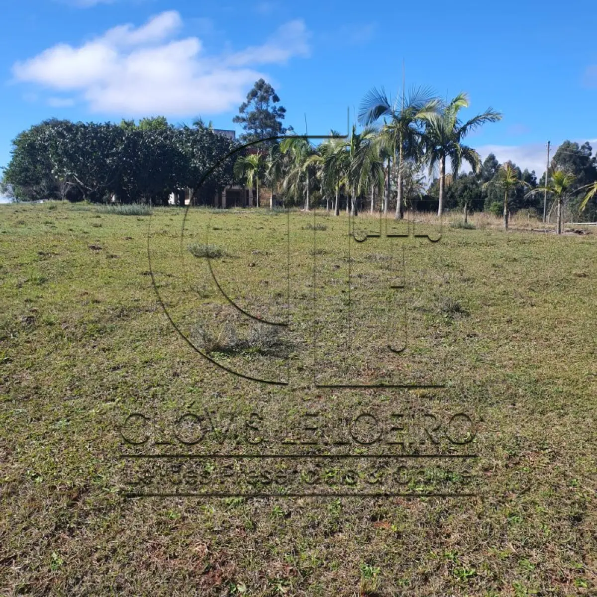 LOTE 001 - CHACARA COM 2 HECTARES INTERIOR SANTA MARIA-RS