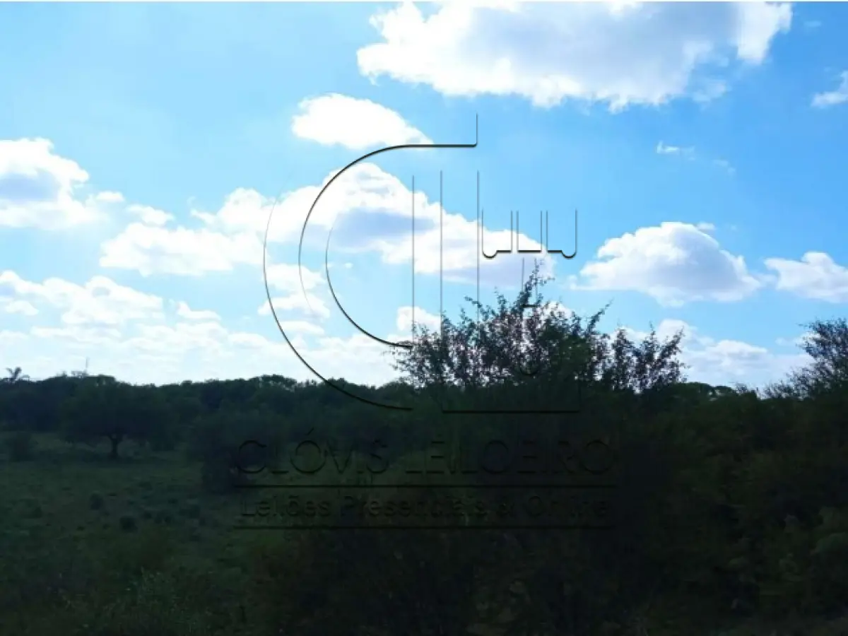 LOTE 001 - UMA FRAÇÃO DE CAMPO DE 150,57 HA, MATR.  16167 CRI ALEGRETE