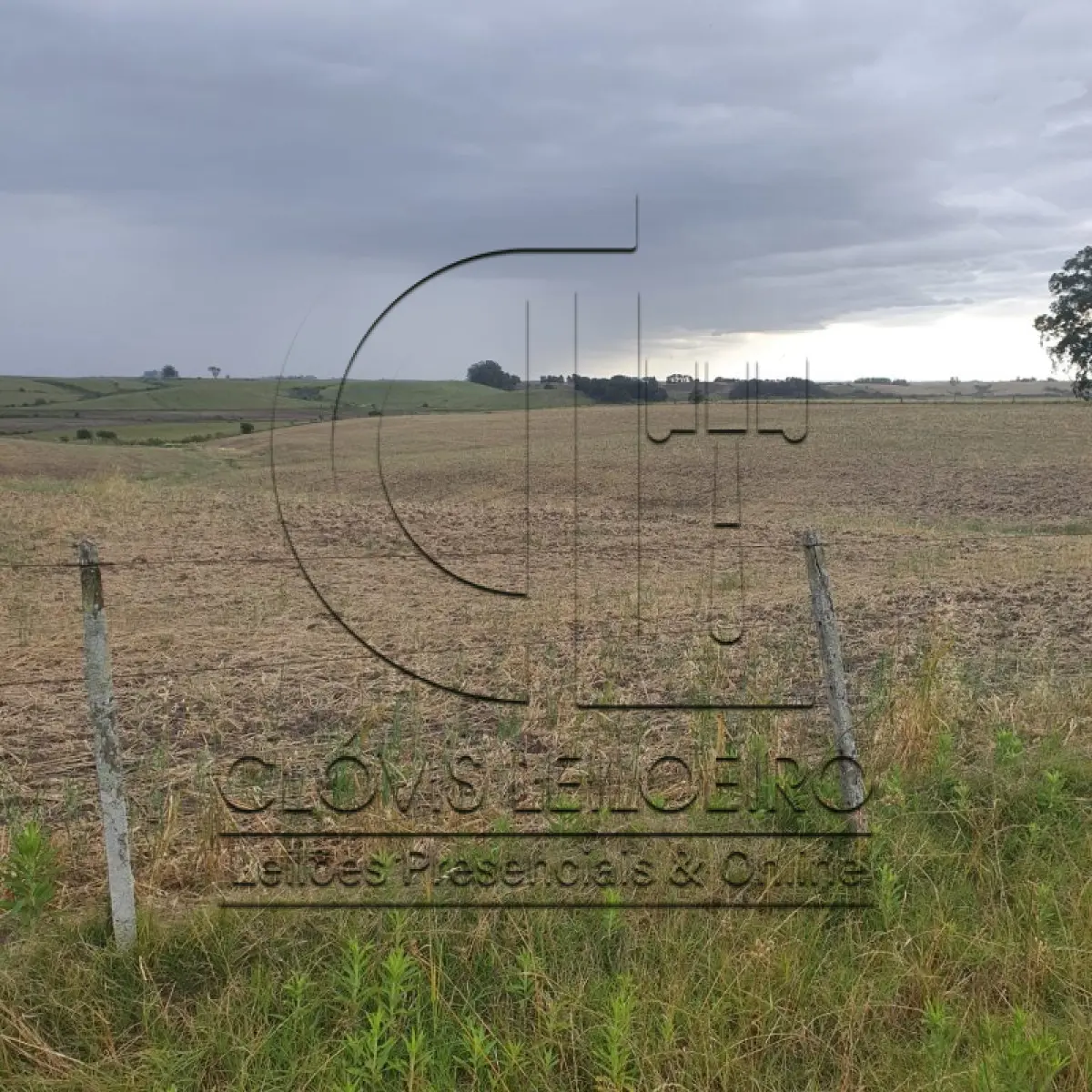 LOTE 001 - 33,70 HECTARES DE TERRAS DE CAMPO EM ACEGUÁ - RS