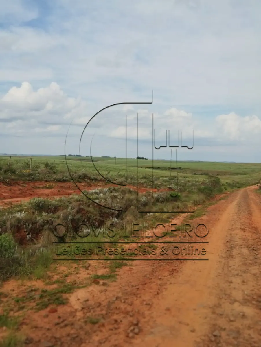 LOTE 001 - UMA FRAÇÃO DE TERRAS DE 53HA.60A.82CA EM CACEQUI - RS