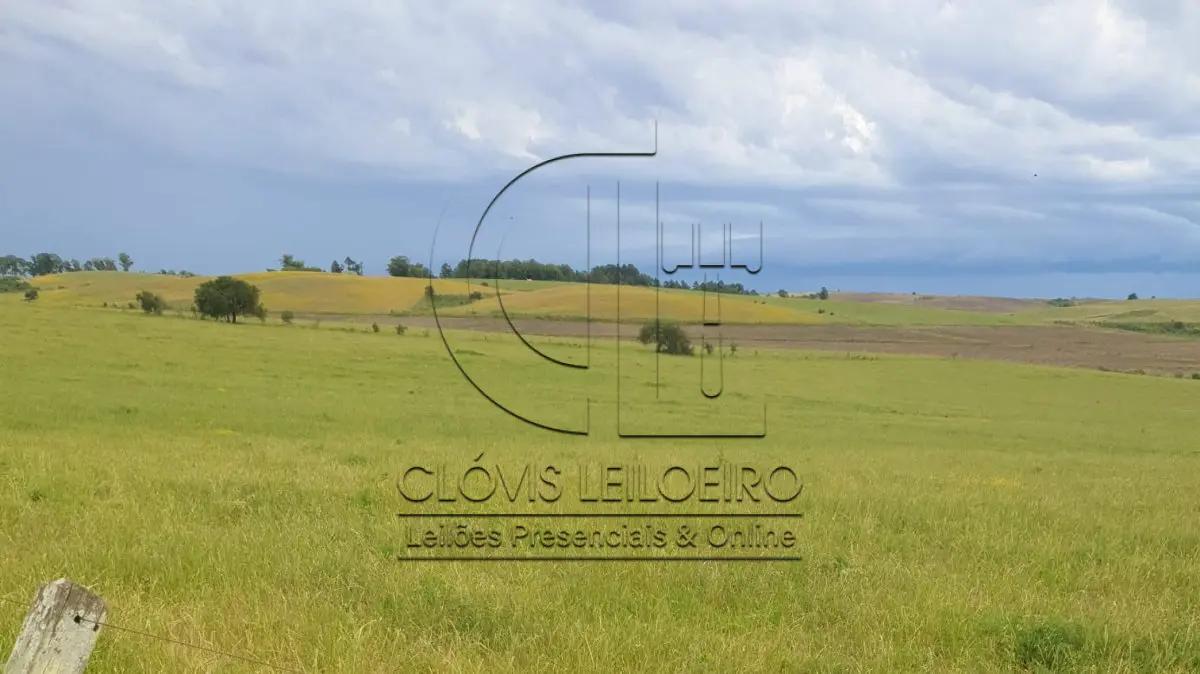 LOTE 001 - 33,70 HECTARES DE TERRAS DE CAMPO EM ACEGUÁ - RS