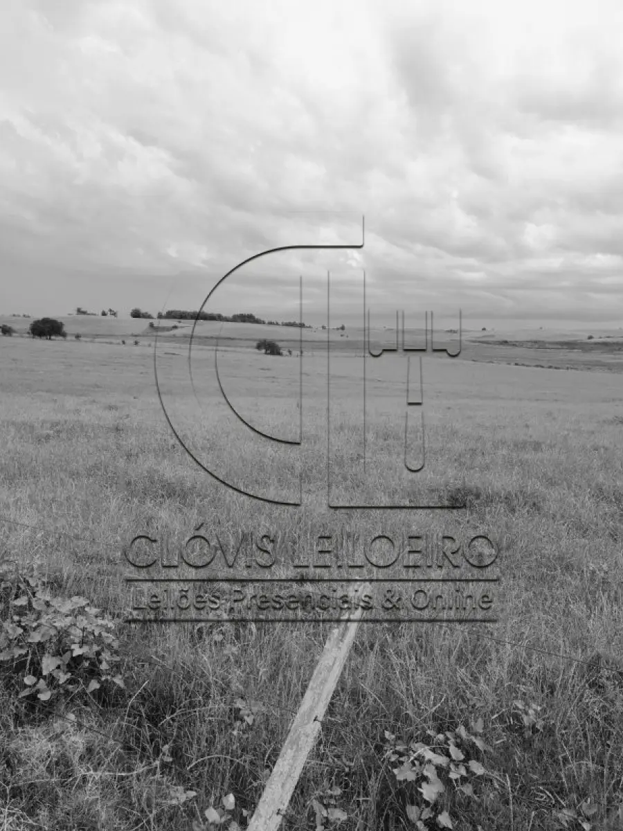 LOTE 001 - 33,70 HECTARES DE TERRAS DE CAMPO EM ACEGUÁ - RS