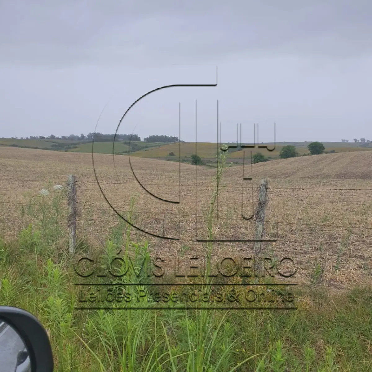 LOTE 001 - 33,70 HECTARES DE TERRAS DE CAMPO EM ACEGUÁ - RS