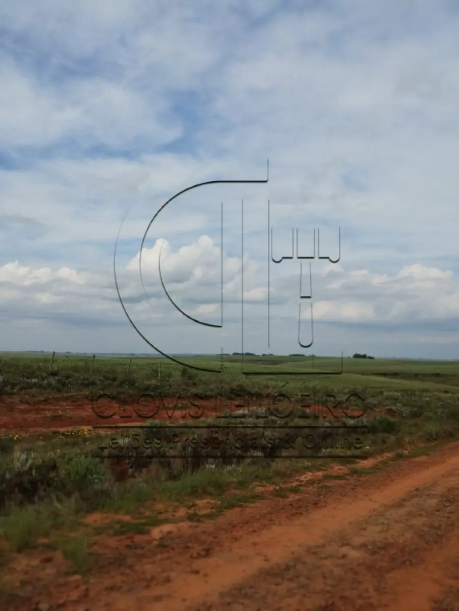 LOTE 001 - UMA FRAÇÃO DE TERRAS DE 53HA.60A.82CA EM CACEQUI - RS