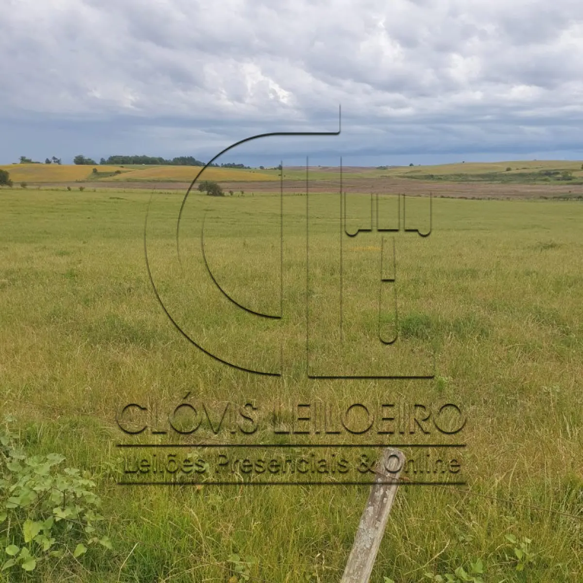 LOTE 001 - 33,70 HECTARES DE TERRAS DE CAMPO EM ACEGUÁ - RS