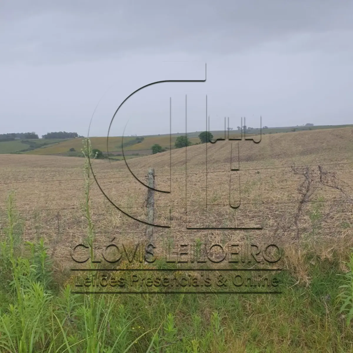 LOTE 001 - 33,70 HECTARES DE TERRAS DE CAMPO EM ACEGUÁ - RS