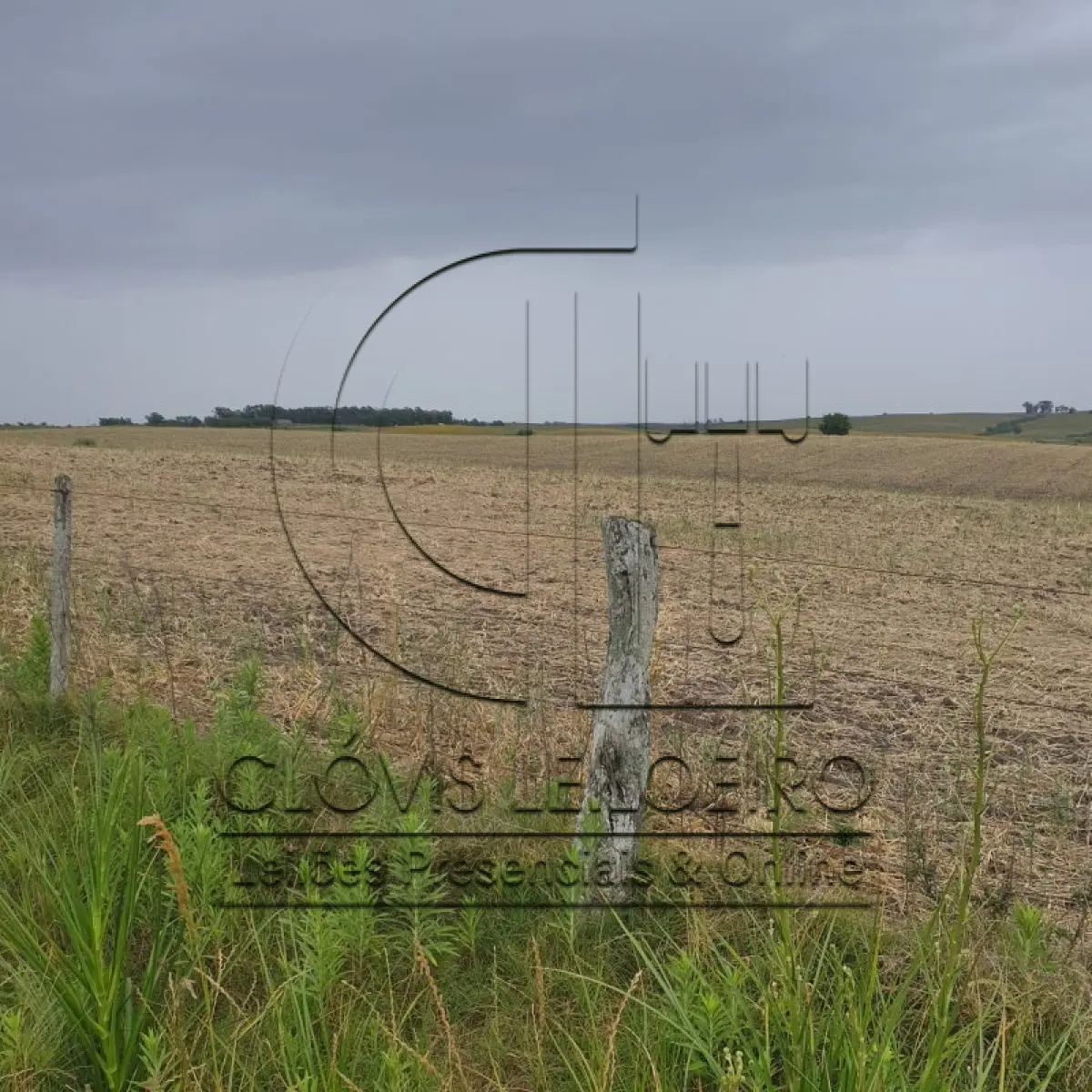 LOTE 001 - 33,70 HECTARES DE TERRAS DE CAMPO EM ACEGUÁ - RS