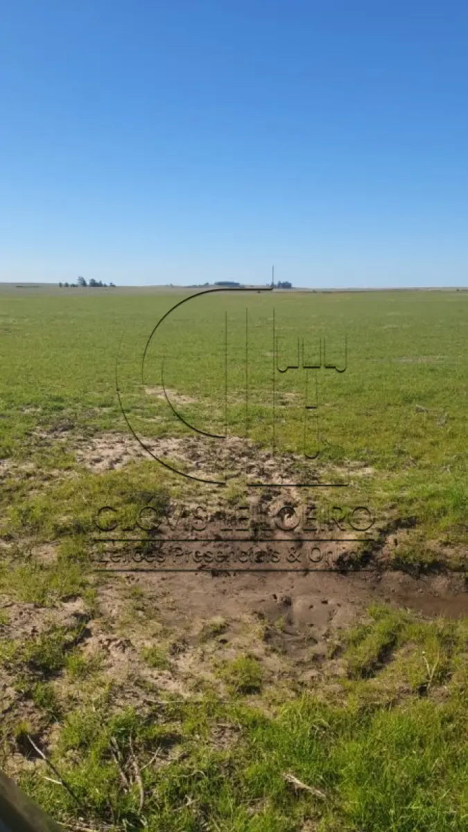 LOTE 002 - UMA FRAÇÃO DE CAMPO DE 9,4397 HECTARES, CFE MATR. 8.218 CRI ROSÁRIO DO SUL