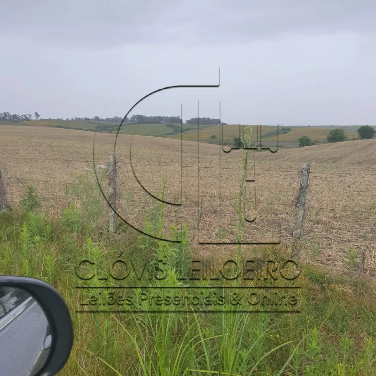 LOTE 001 - 33,70 HECTARES DE TERRAS DE CAMPO EM ACEGUÁ - RS