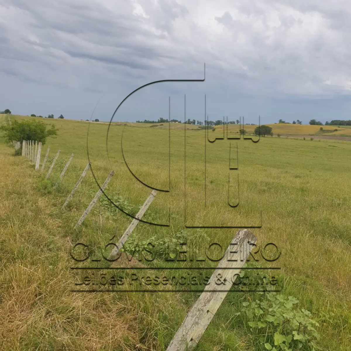 LOTE 001 - 33,70 HECTARES DE TERRAS DE CAMPO EM ACEGUÁ - RS