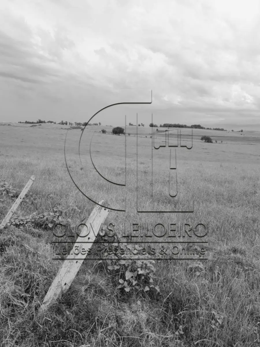 LOTE 001 - 33,70 HECTARES DE TERRAS DE CAMPO EM ACEGUÁ - RS
