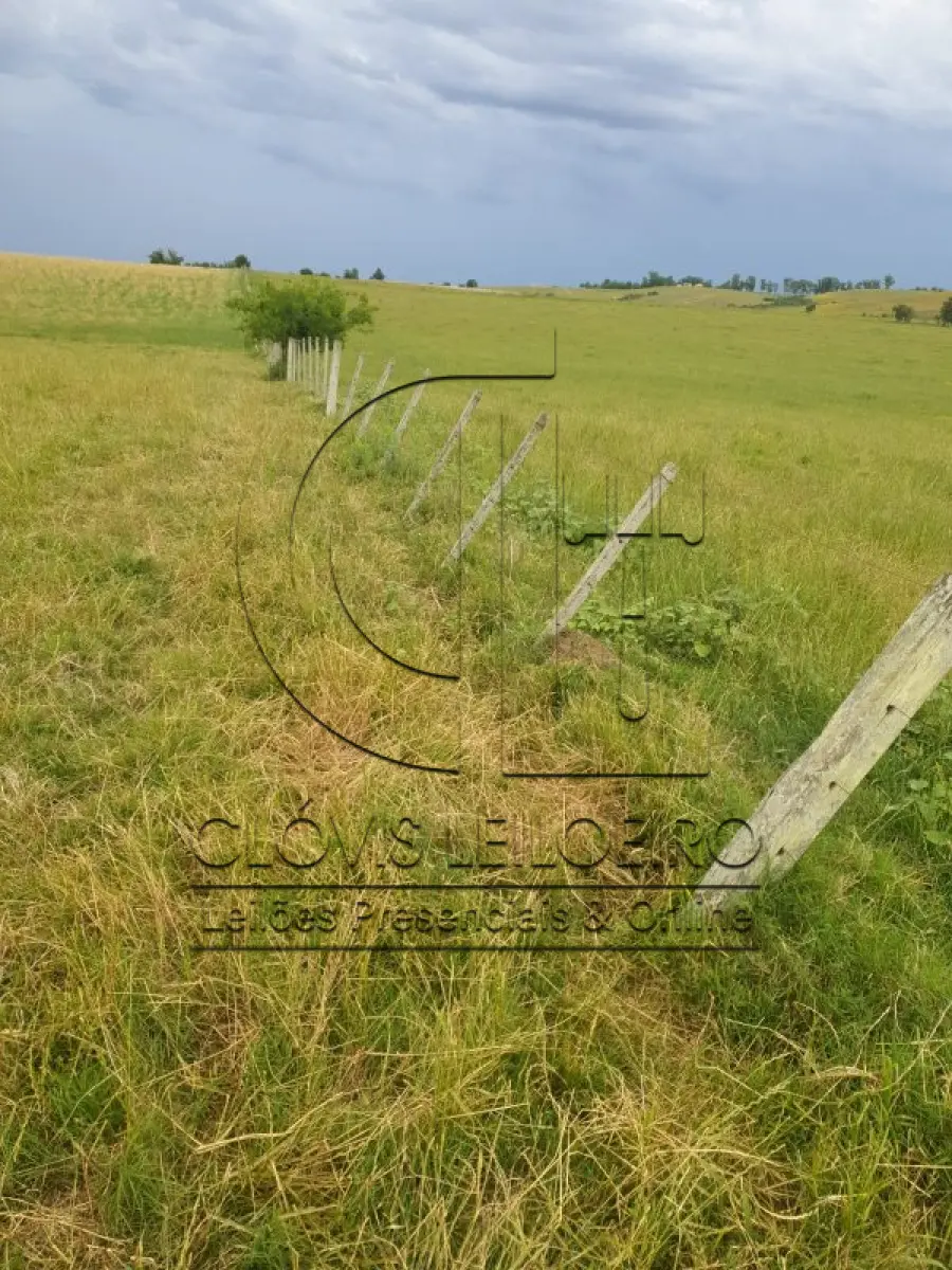 LOTE 001 - 33,70 HECTARES DE TERRAS DE CAMPO EM ACEGUÁ - RS