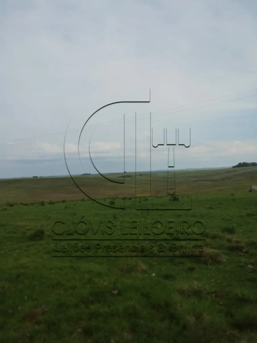 LOTE 001 - UMA FRAÇÃO DE TERRAS DE 53HA.60A.82CA EM CACEQUI - RS