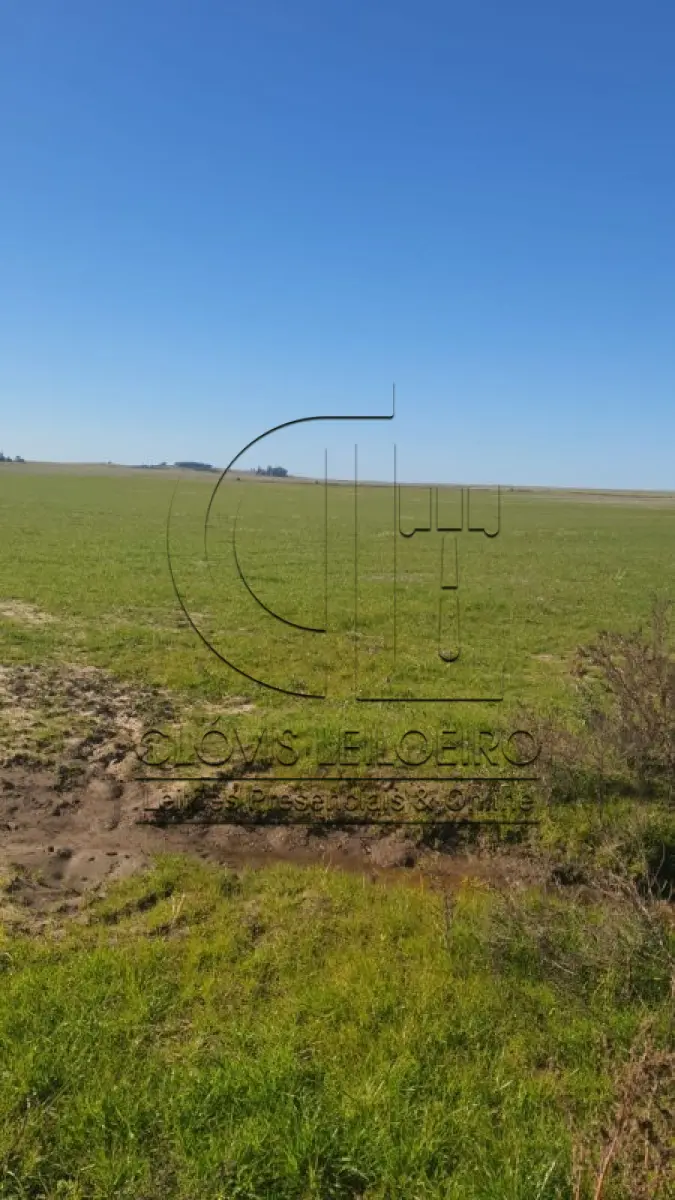 LOTE 002 - UMA FRAÇÃO DE CAMPO DE 9,4397 HECTARES, CFE MATR. 8.218 CRI ROSÁRIO DO SUL
