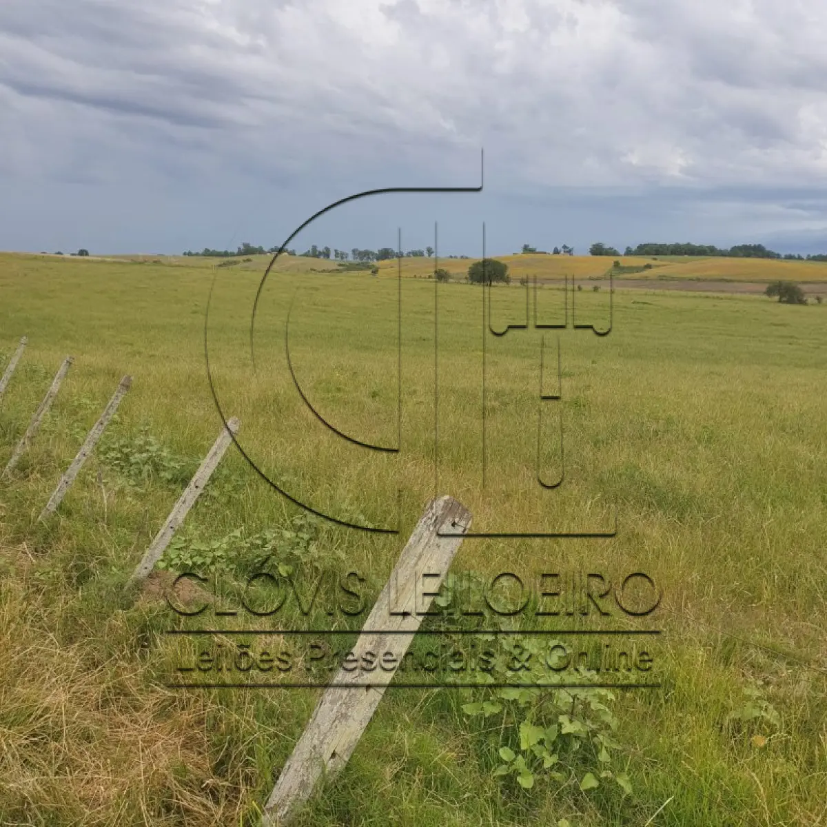 LOTE 001 - 33,70 HECTARES DE TERRAS DE CAMPO EM ACEGUÁ - RS