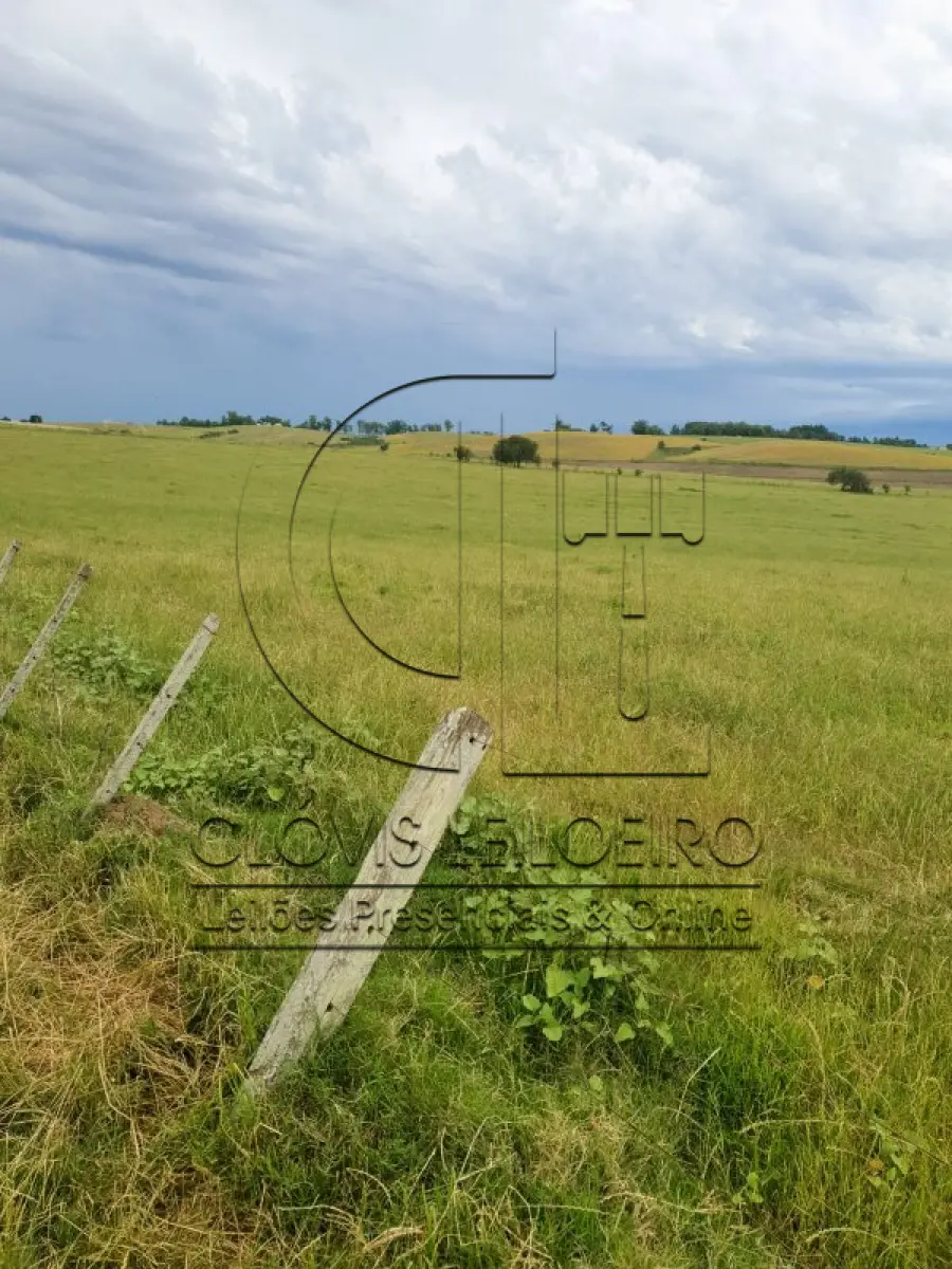 LOTE 001 - 33,70 HECTARES DE TERRAS DE CAMPO EM ACEGUÁ - RS
