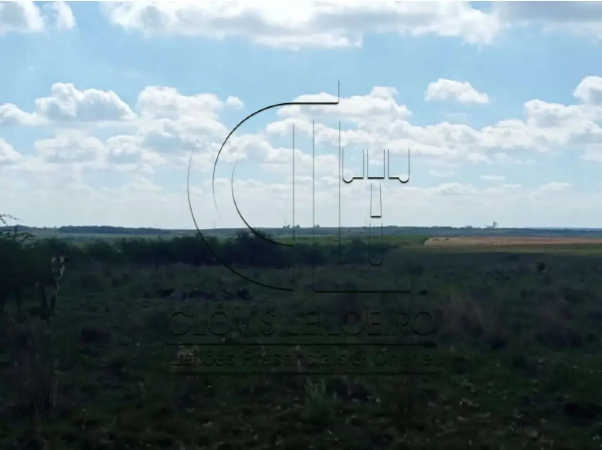 LOTE 001 - UMA FRAÇÃO DE CAMPO DE 150,57 HA, MATR.  16167 CRI ALEGRETE