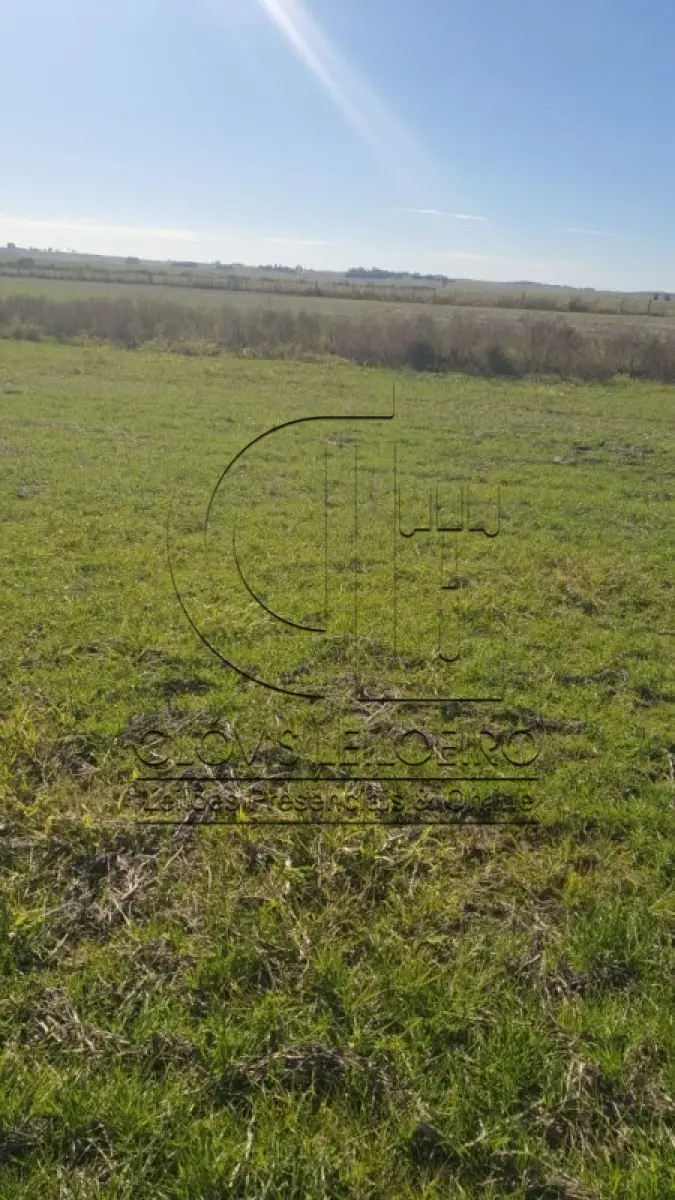 LOTE 002 - UMA FRAÇÃO DE CAMPO DE 9,4397 HECTARES, CFE MATR. 8.218 CRI ROSÁRIO DO SUL