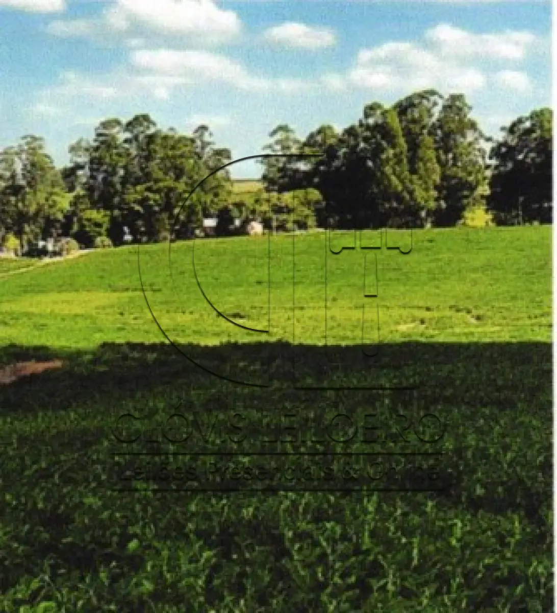 LOTE 002 - UMA FRAÇÃO DE CAMPO DE 9,4397 HECTARES, CFE MATR. 8.218 CRI ROSÁRIO DO SUL