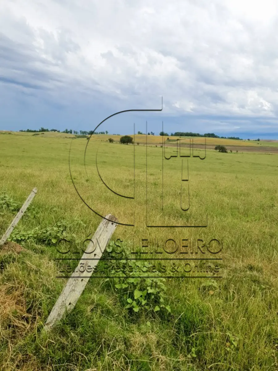 LOTE 001 - 33,70 HECTARES DE TERRAS DE CAMPO EM ACEGUÁ - RS