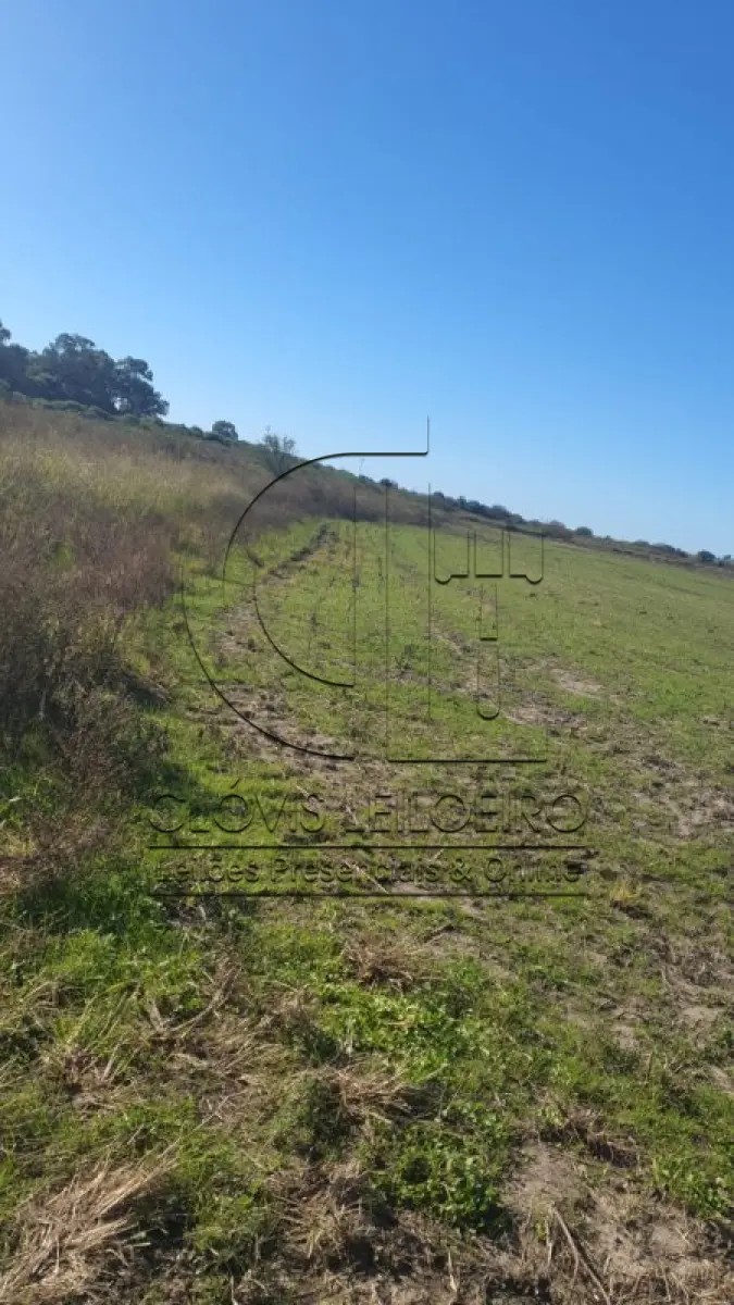 LOTE 002 - UMA FRAÇÃO DE CAMPO DE 9,4397 HECTARES, CFE MATR. 8.218 CRI ROSÁRIO DO SUL