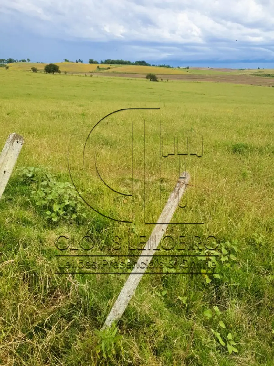 LOTE 001 - 33,70 HECTARES DE TERRAS DE CAMPO EM ACEGUÁ - RS