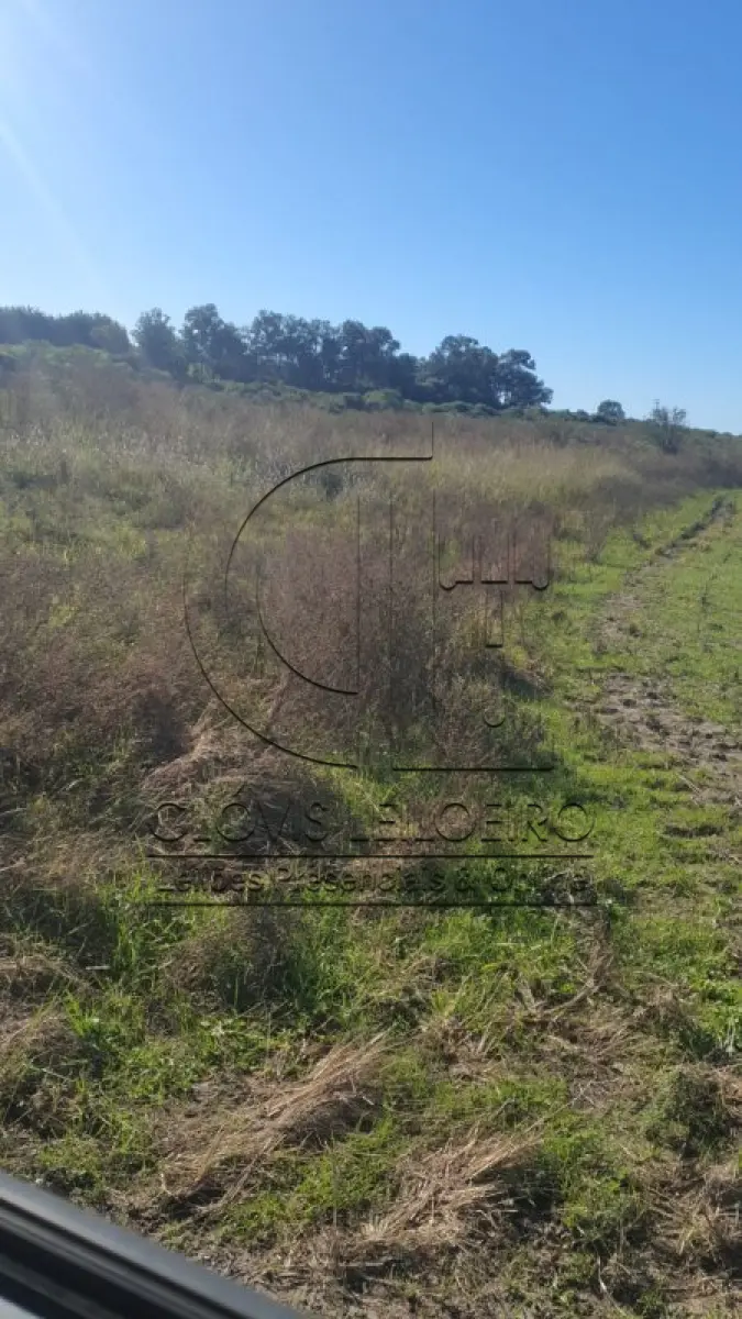 LOTE 002 - UMA FRAÇÃO DE CAMPO DE 9,4397 HECTARES, CFE MATR. 8.218 CRI ROSÁRIO DO SUL