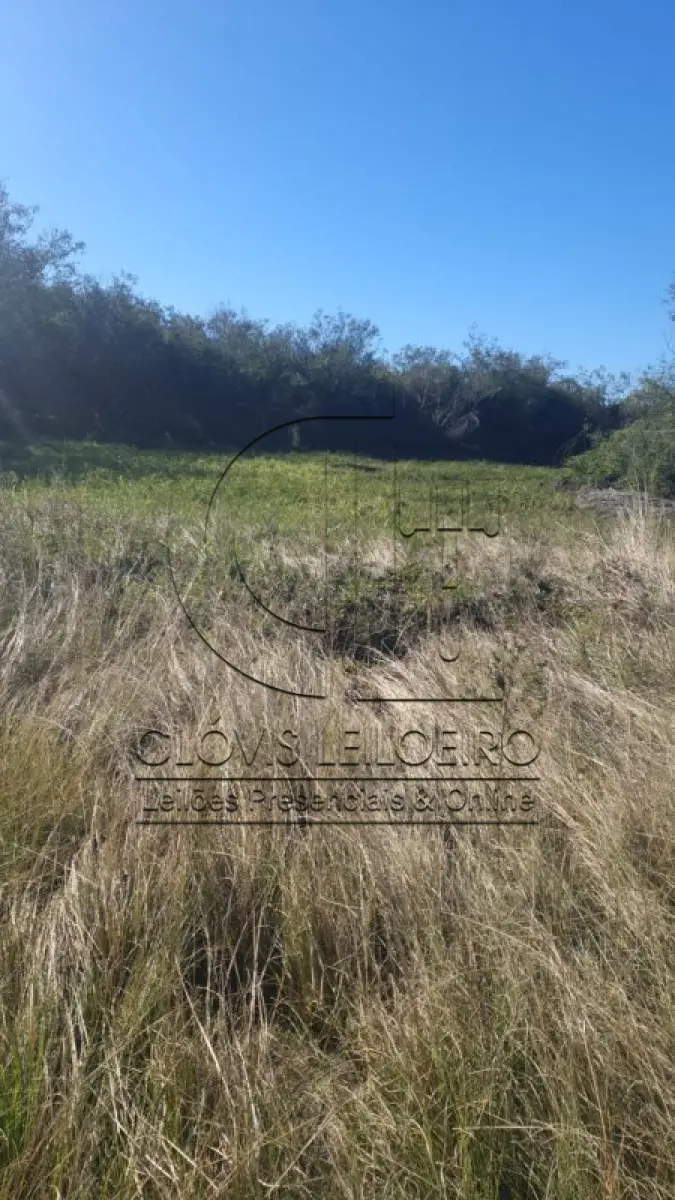 LOTE 002 - UMA FRAÇÃO DE CAMPO DE 9,4397 HECTARES, CFE MATR. 8.218 CRI ROSÁRIO DO SUL