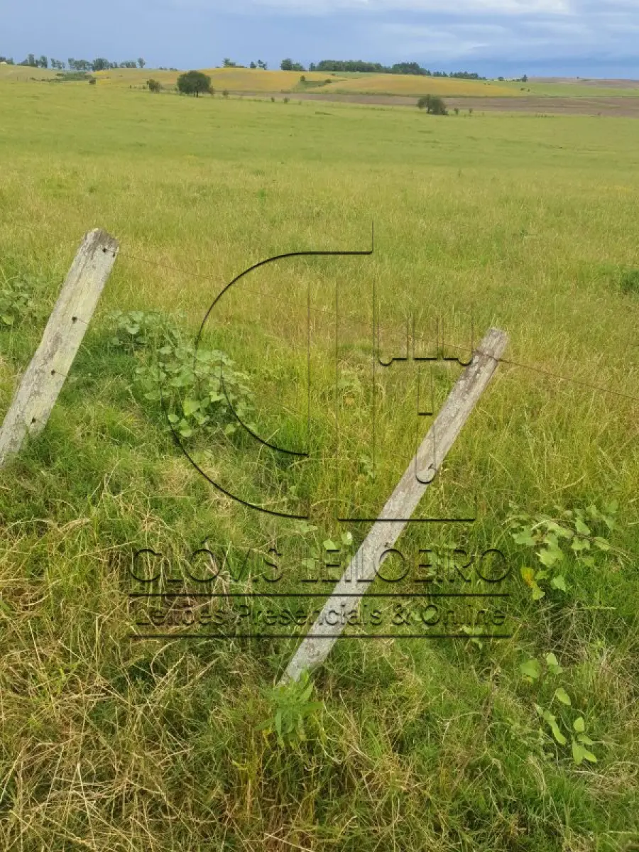 LOTE 001 - 33,70 HECTARES DE TERRAS DE CAMPO EM ACEGUÁ - RS