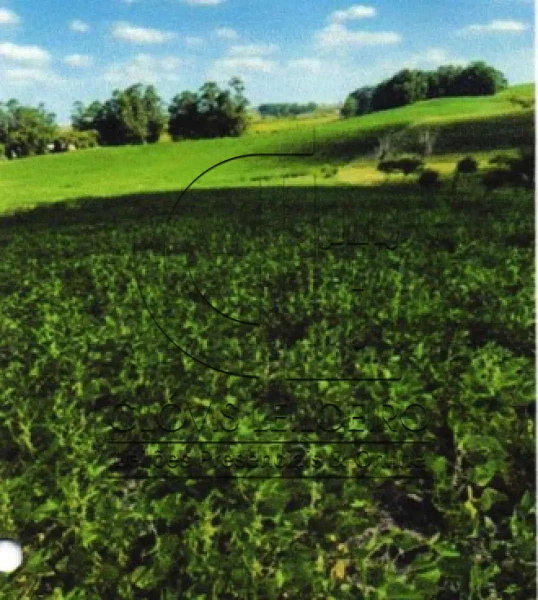 LOTE 002 - UMA FRAÇÃO DE CAMPO DE 9,4397 HECTARES, CFE MATR. 8.218 CRI ROSÁRIO DO SUL