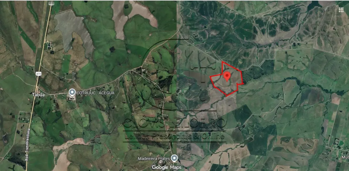 LOTE 001 - 33,70 HECTARES DE TERRAS DE CAMPO EM ACEGUÁ - RS