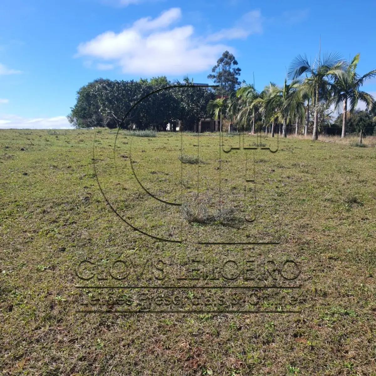 LOTE 001 - CHACARA COM 2 HECTARES INTERIOR SANTA MARIA-RS