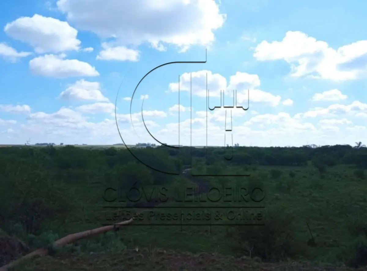 LOTE 001 - UMA FRAÇÃO DE CAMPO DE 150,57 HA, MATR.  16167 CRI ALEGRETE