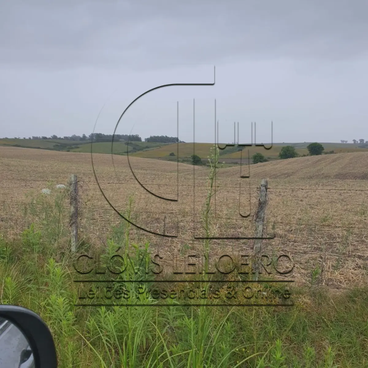 LOTE 001 - 33,70 HECTARES DE TERRAS DE CAMPO EM ACEGUÁ - RS