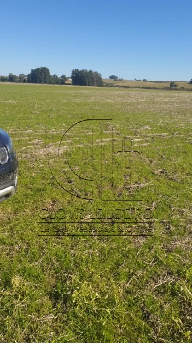 LOTE 002 - UMA FRAÇÃO DE CAMPO DE 9,4397 HECTARES, CFE MATR. 8.218 CRI ROSÁRIO DO SUL