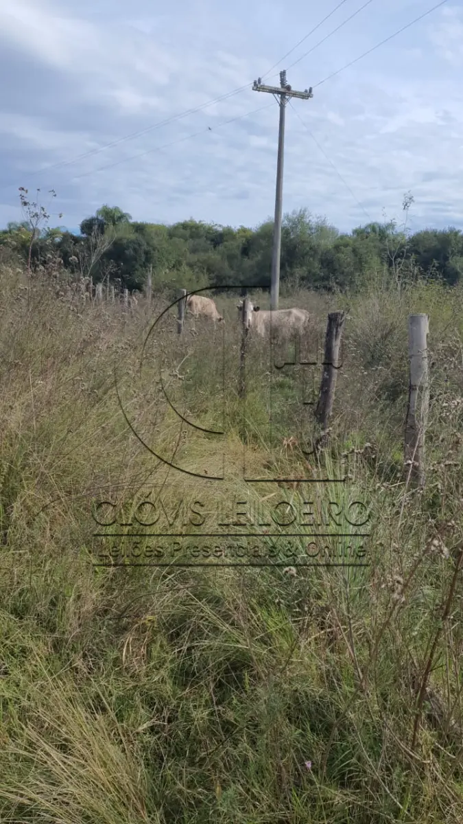 LOTE 001 - UMA FRAÇÃO DE CAMPO DE 321.000,00 M²