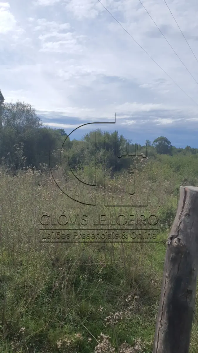 LOTE 001 - UMA FRAÇÃO DE CAMPO DE 321.000,00 M²