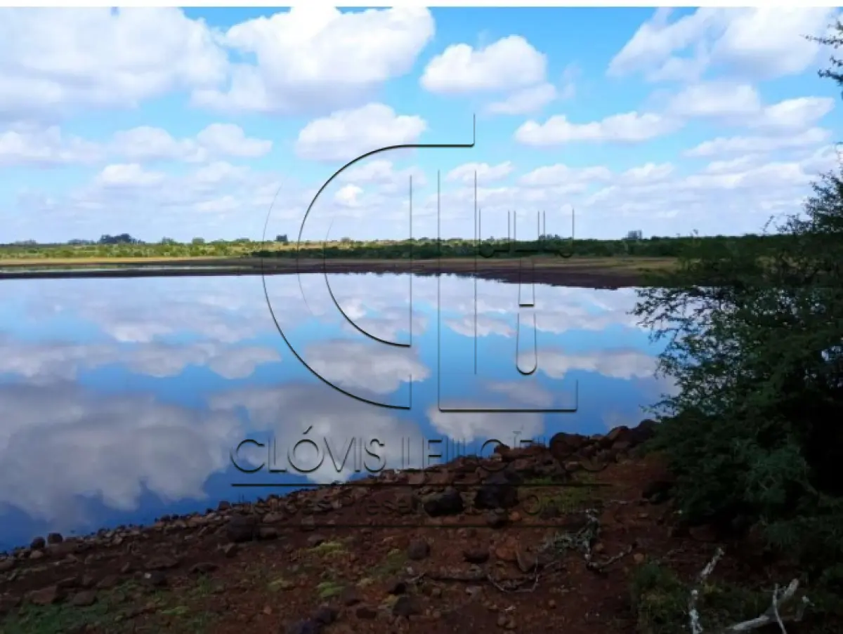 LOTE 001 - UMA FRAÇÃO DE CAMPO DE 150,57 HA, MATR.  16167 CRI ALEGRETE