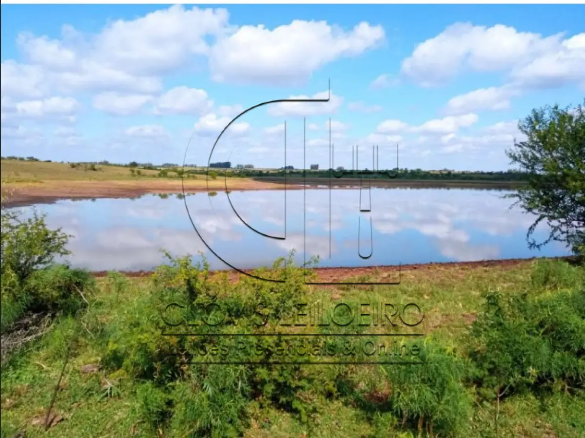 LOTE 001 - UMA FRAÇÃO DE CAMPO DE 150,57 HA, MATR.  16167 CRI ALEGRETE