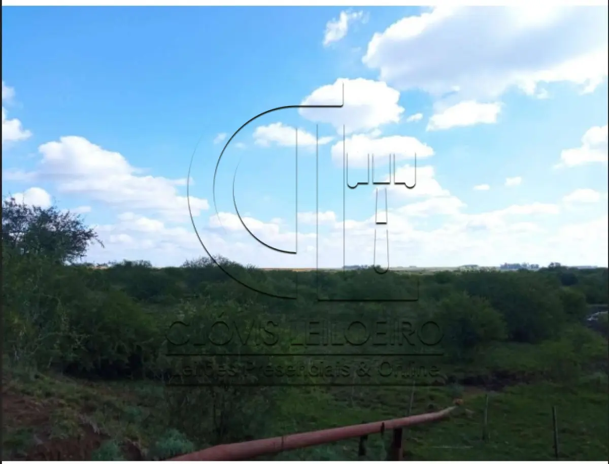 LOTE 001 - UMA FRAÇÃO DE CAMPO DE 150,57 HA, MATR.  16167 CRI ALEGRETE