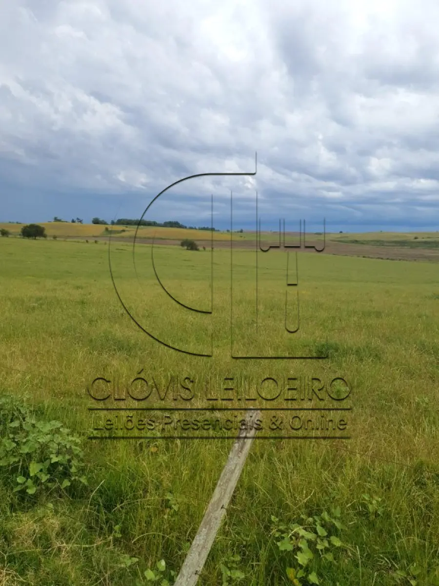 LOTE 001 - 33,70 HECTARES DE TERRAS DE CAMPO EM ACEGUÁ - RS
