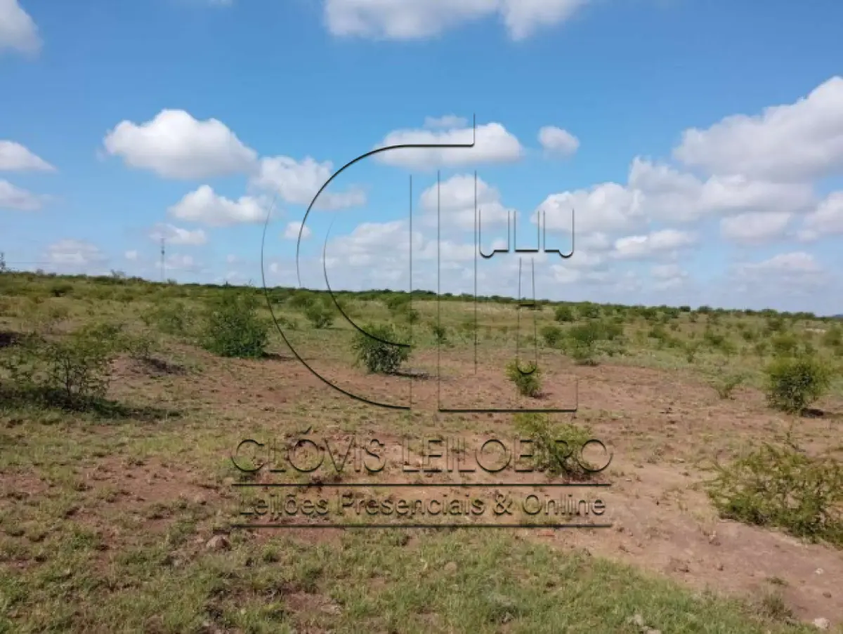 LOTE 001 - UMA FRAÇÃO DE CAMPO DE 150,57 HA, MATR.  16167 CRI ALEGRETE