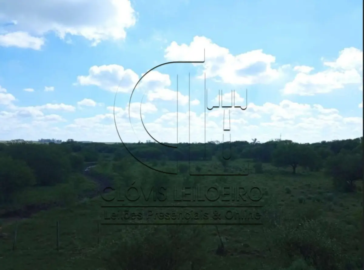 LOTE 001 - UMA FRAÇÃO DE CAMPO DE 150,57 HA, MATR.  16167 CRI ALEGRETE