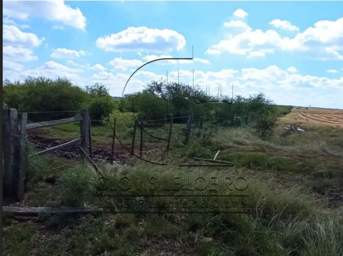 LOTE 001 - UMA FRAÇÃO DE CAMPO DE 150,57 HA, MATR.  16167 CRI ALEGRETE
