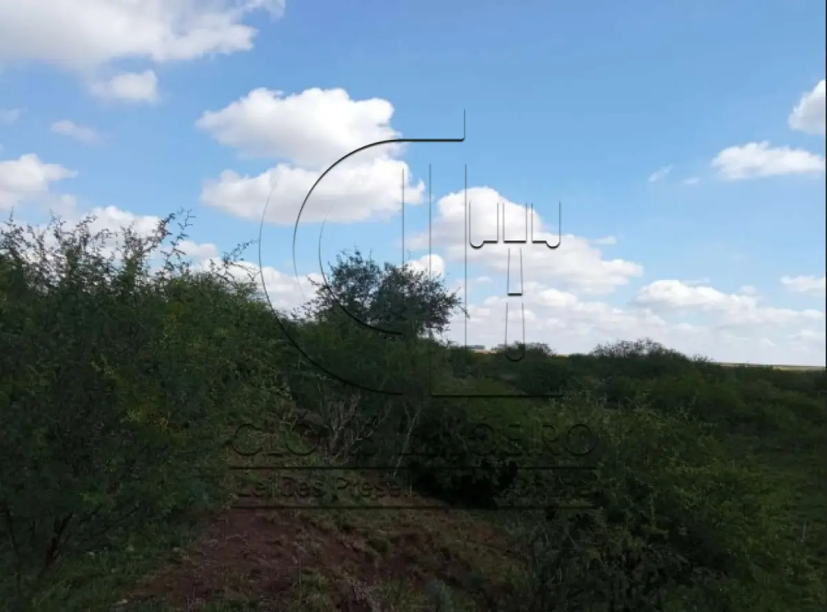 LOTE 001 - UMA FRAÇÃO DE CAMPO DE 150,57 HA, MATR.  16167 CRI ALEGRETE