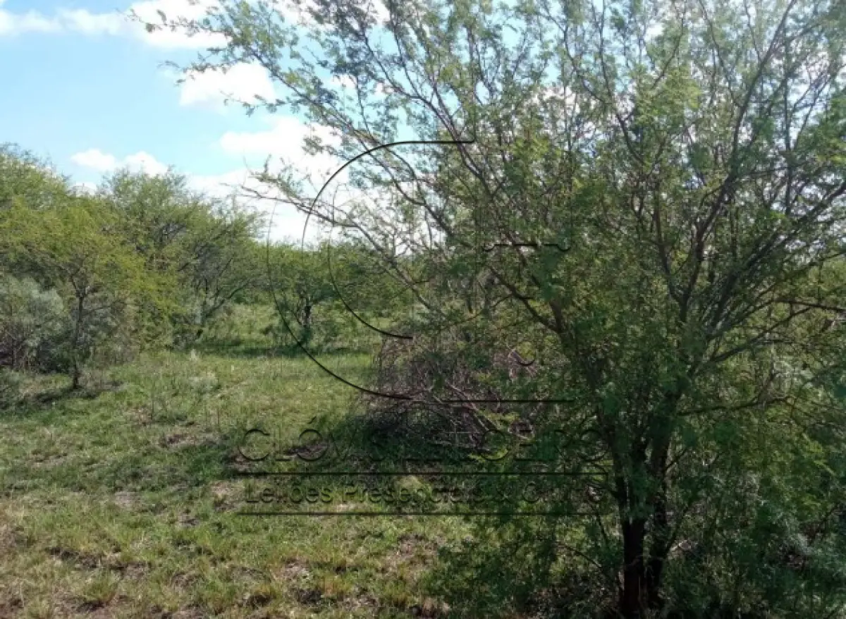 LOTE 001 - UMA FRAÇÃO DE CAMPO DE 150,57 HA, MATR.  16167 CRI ALEGRETE