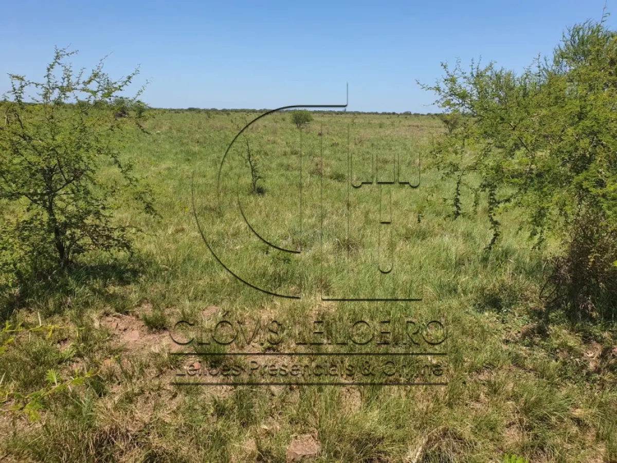 LOTE 001 - DIREITOS E AÇOES HEREDITÁRIOS DE FRAÇÕES DE CAMPO DE 65,16 HA + 49,78 HA, CONFOME MATR 3.279 DO CRI DE ALEGRETE