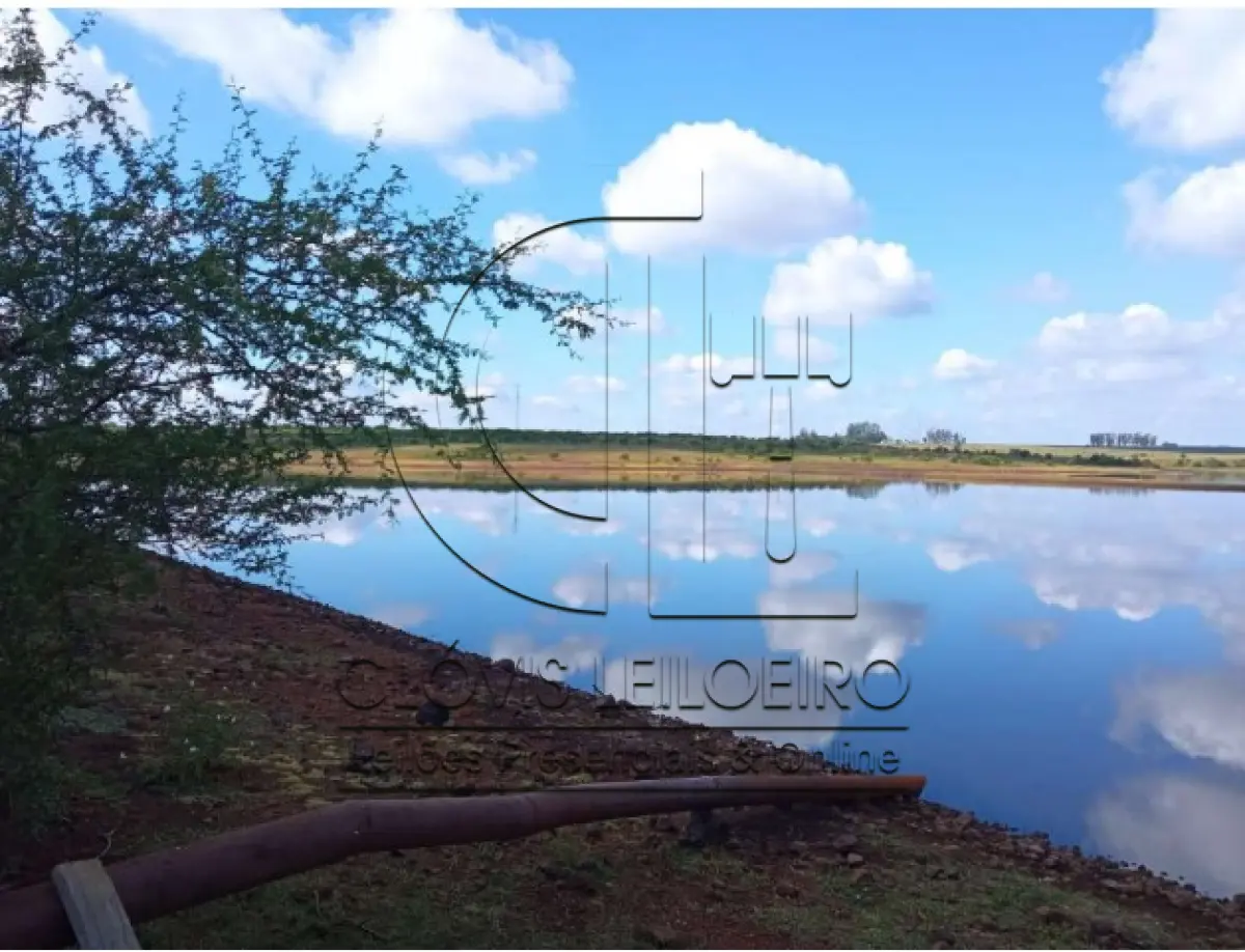 LOTE 001 - UMA FRAÇÃO DE CAMPO DE 150,57 HA, MATR.  16167 CRI ALEGRETE